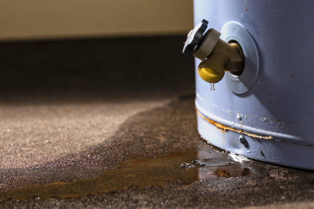 Best Water damage restoration near me  in Donalsonville, GA