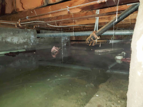Best Basement water damage restoration  in Donalsonville, GA
