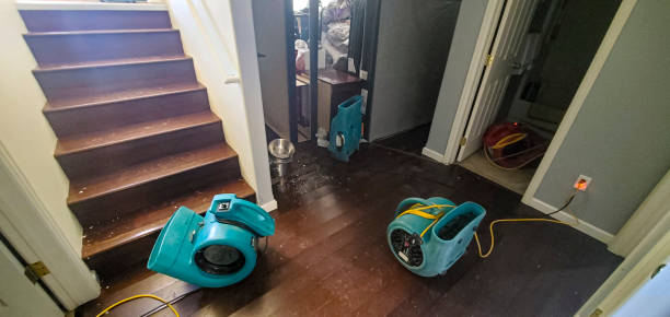 Best Ceiling water damage repair  in Donalsonville, GA