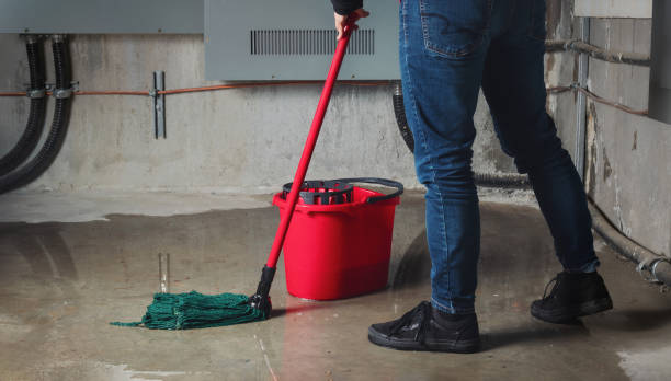 Best Ceiling water damage repair  in Donalsonville, GA