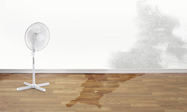 Best Sewage cleanup and water damage restoration  in Donalsonville, GA