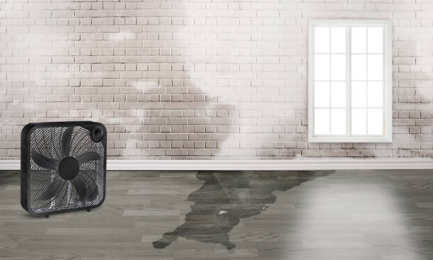Best Commercial water damage restoration  in Donalsonville, GA