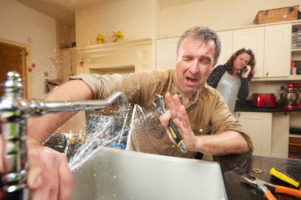 Best Mold removal after water damage  in Donalsonville, GA